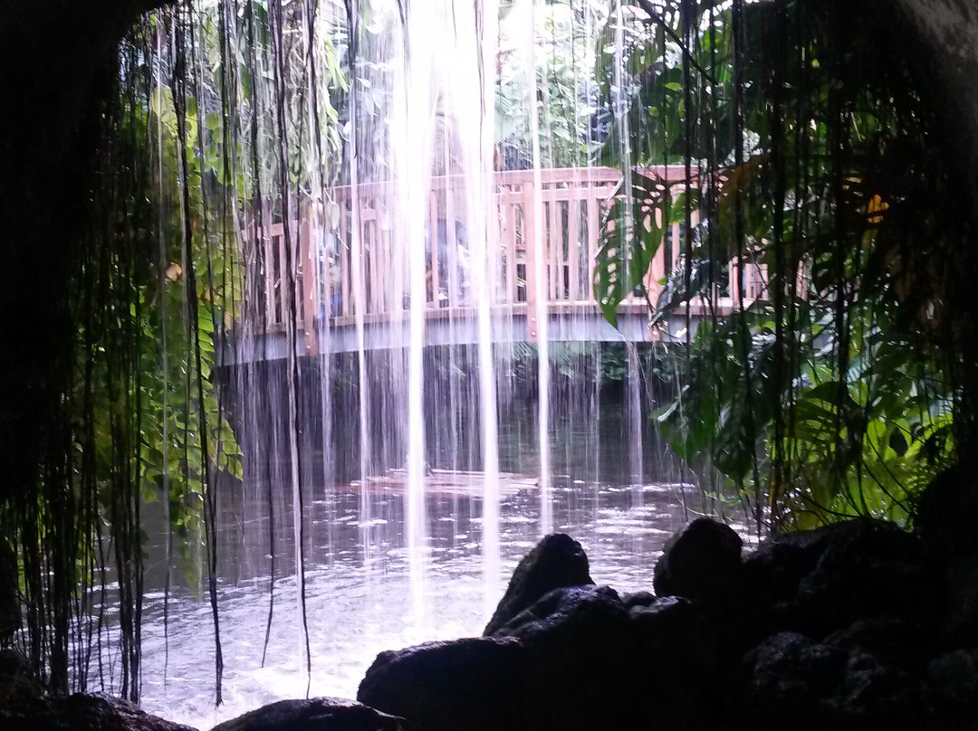 Isle of Mainau-康士坦茨必去景点
