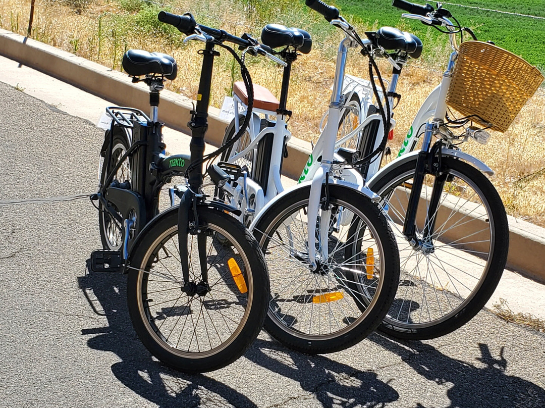 Zion E-Bike Rentals-哈里肯必去景点