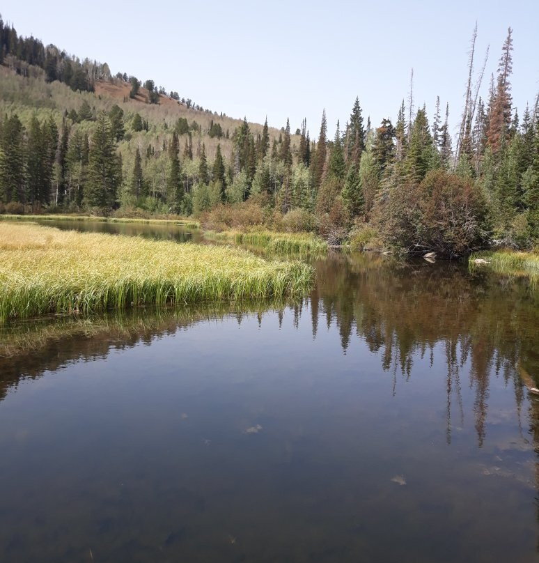 Silver Lake-布莱敦必去景点