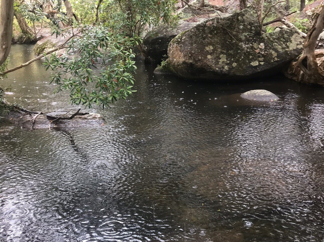 Davies Creek National Park-马里巴必去景点