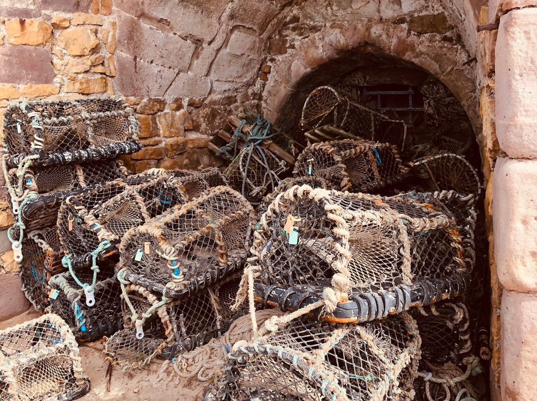 Beadnell Harbour and Lime Kilns景点图片