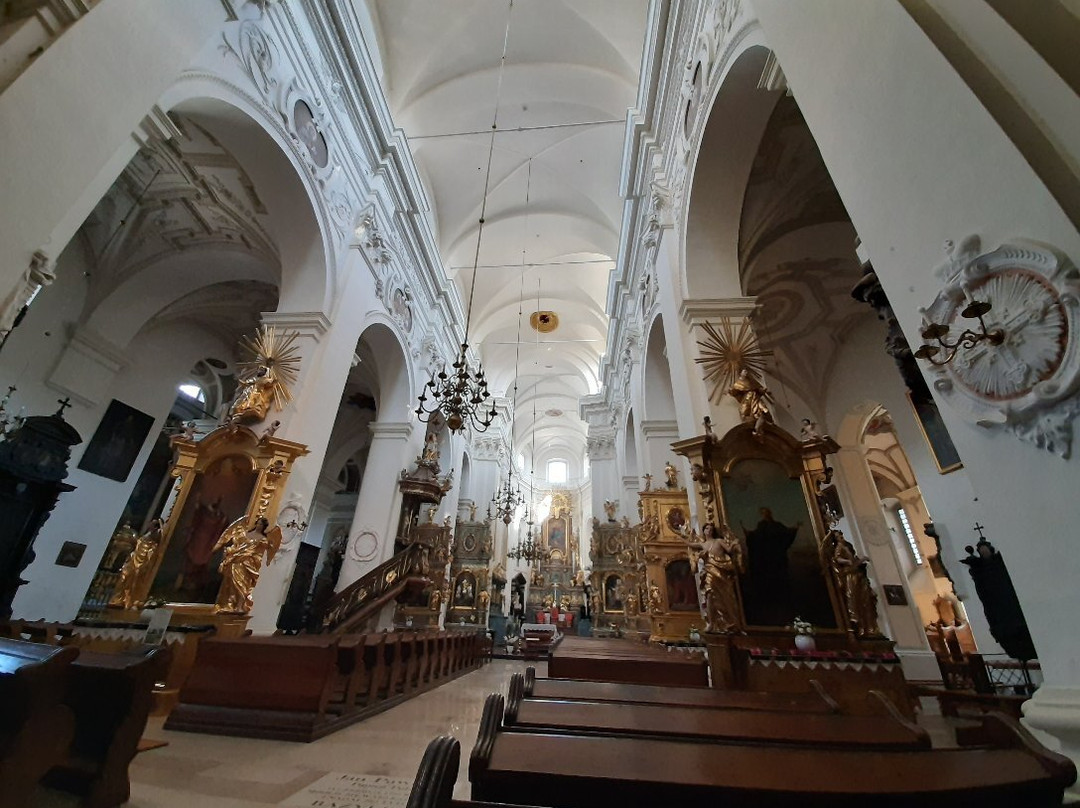 Bazylika katedralna Wniebowzięcia Najświętszej Maryi Panny i św. Mikołaja w Łowiczu景点图片