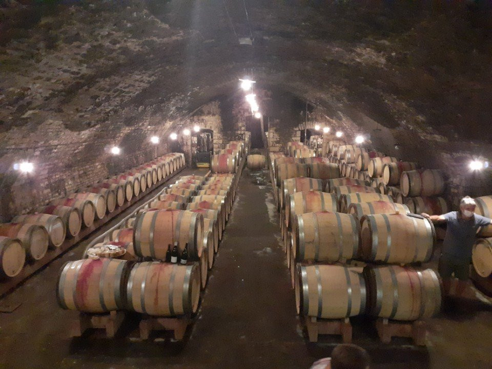 Domaine Bachelet Ramonet