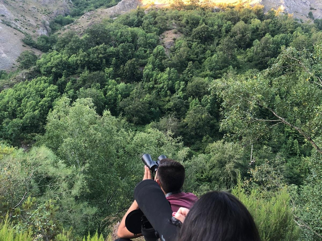 Bosque Activo景点图片