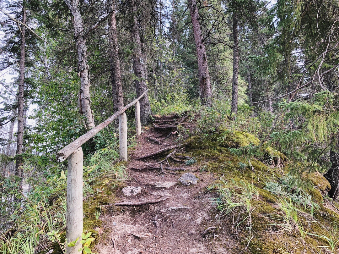 Duck Mountain Provincial Park-曼尼托巴省必去景点