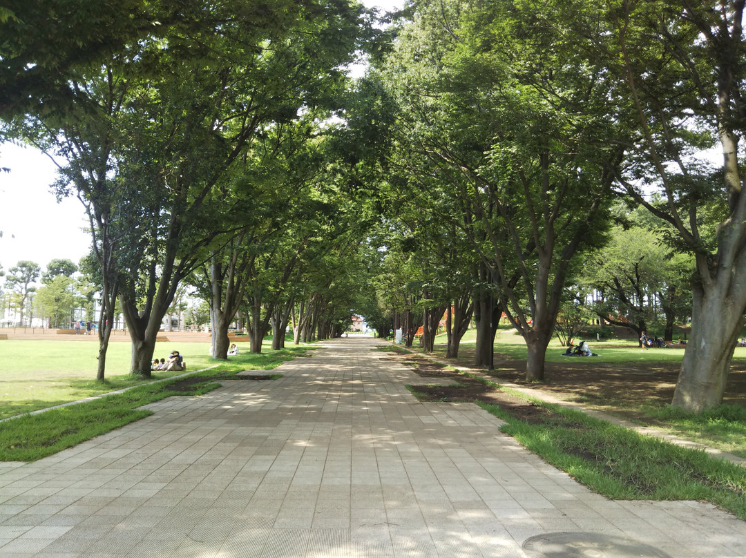 Tsuruma Park-町田市必去景点
