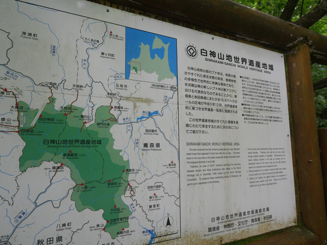 白神山地-东北部必去景点