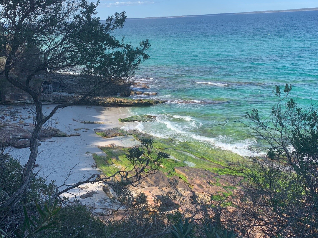 Blenheim Beach景点图片