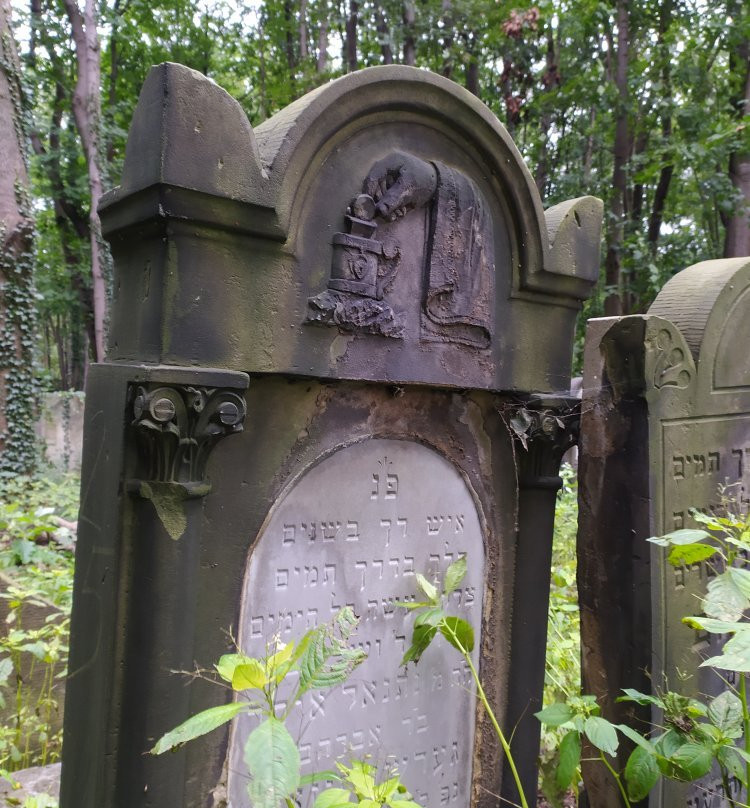Jewish Cemetery (Cmentarz Zydowski)景点图片