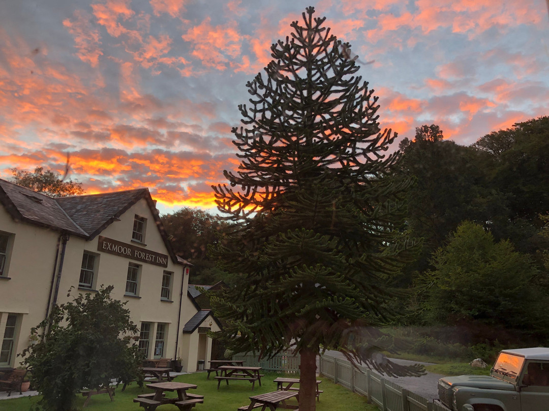 Exmoor Forest Inn主图