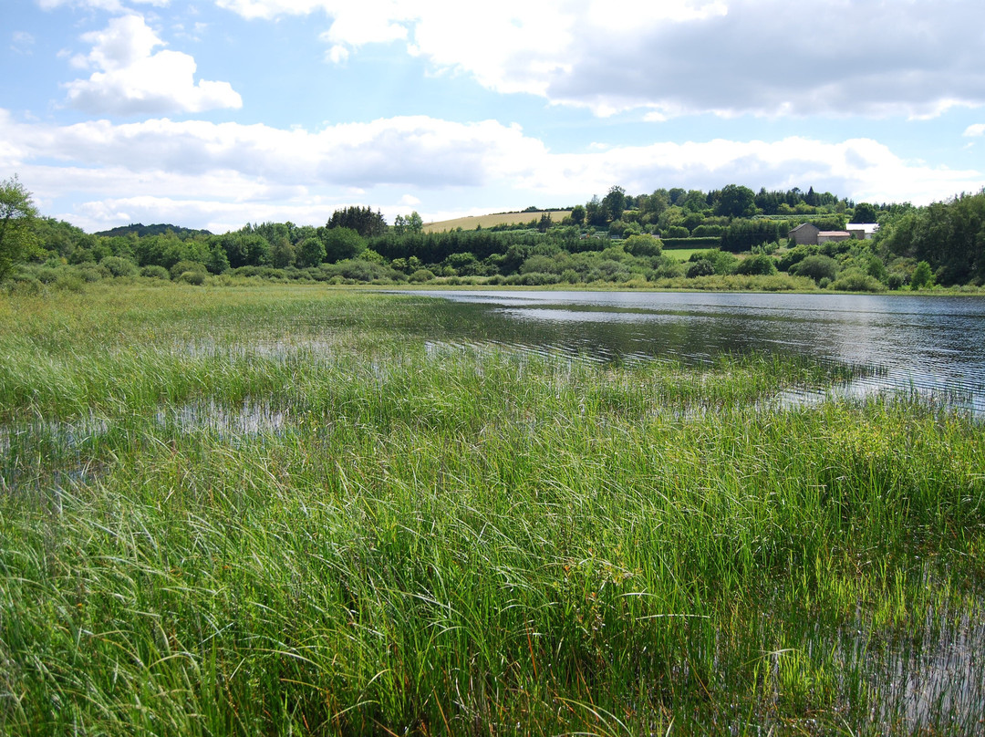 Etang Taureau景点图片