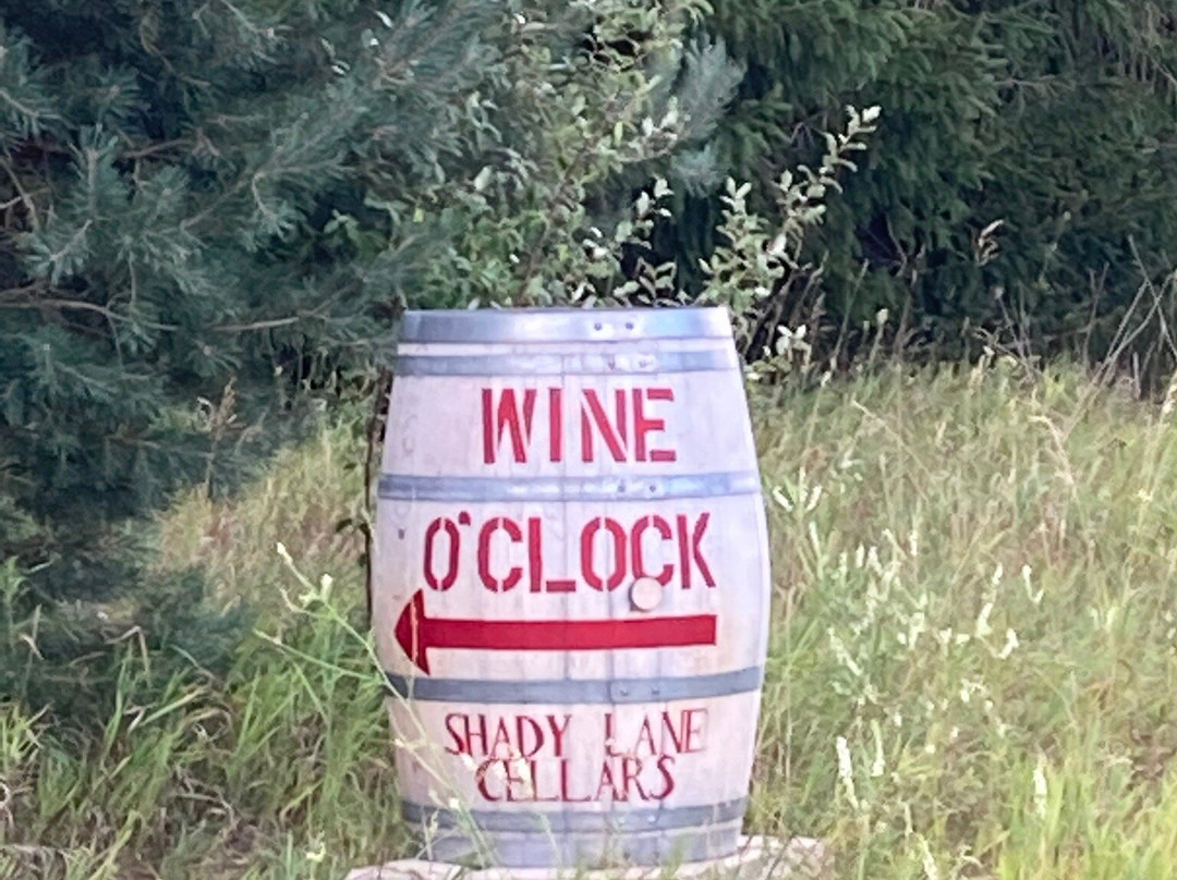 Traverse Area Recreation and Transportation Trails-特拉弗斯城必去景点