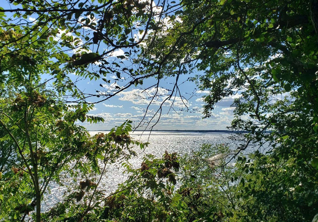 Elk Neck State Park景点图片
