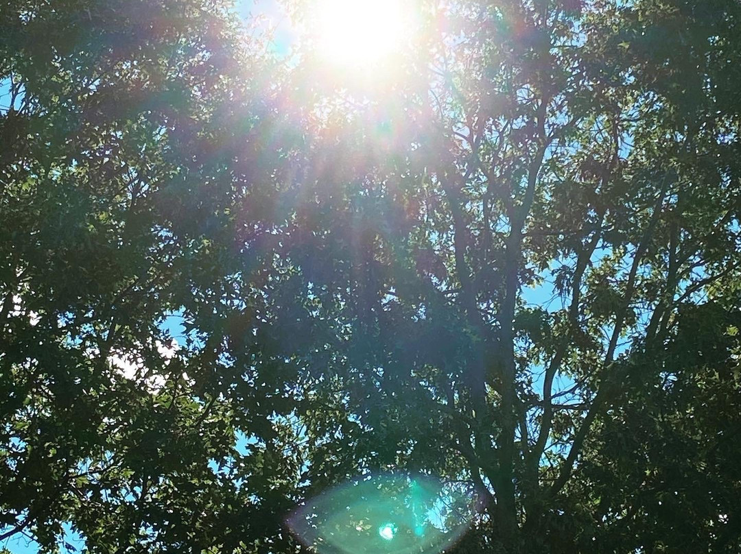 West Lake Preserve-Chelsea必去景点