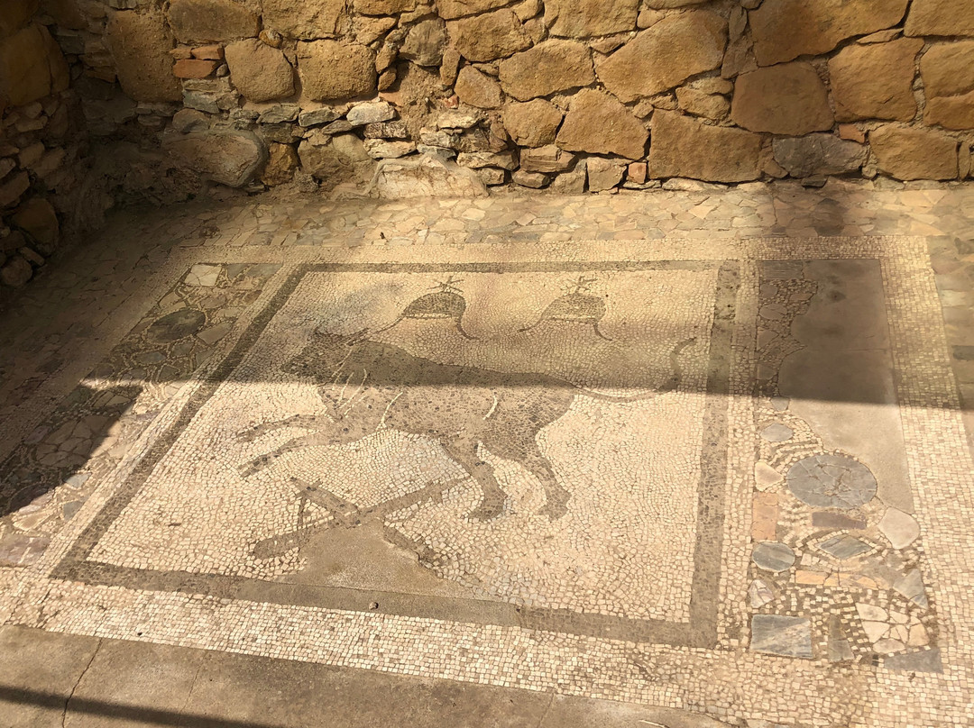 Sito archeologico di Tindari (Patti, Me)景点图片