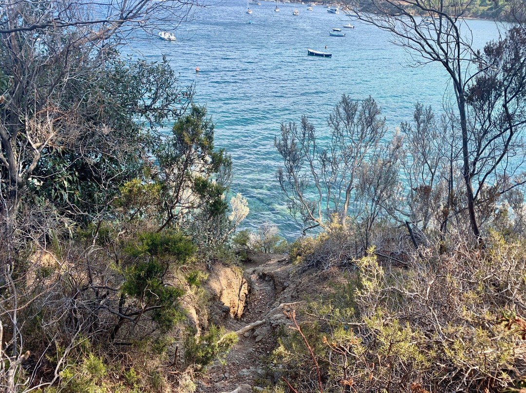 Spiaggia di Straccoligno景点图片