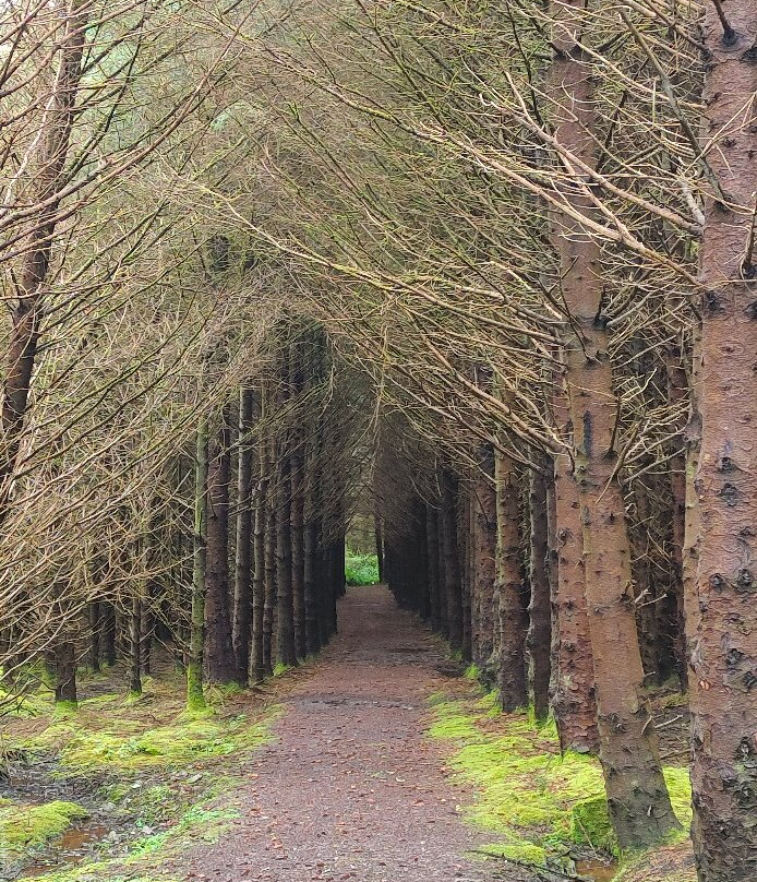 Glanleam House & Subtropical Gardens-Valentia Island必去景点