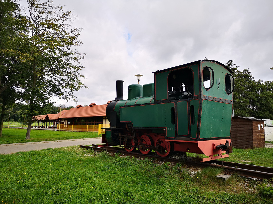 Narrow Gauge Railway of Krosnice景点图片