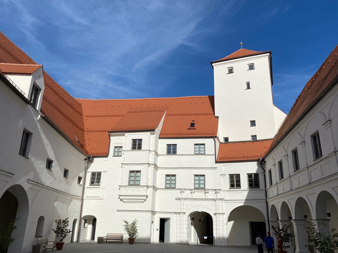 Museum im Wittelsbacher Schloss景点图片