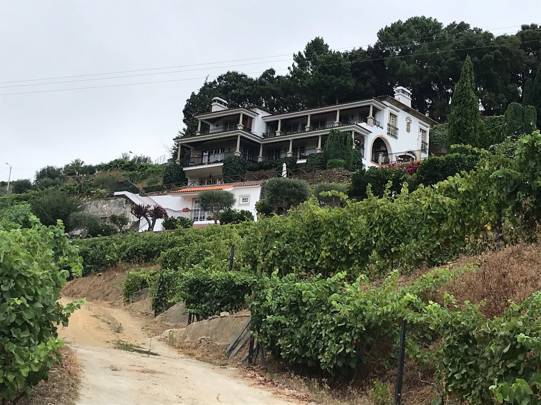 Casa de Canilhas主图