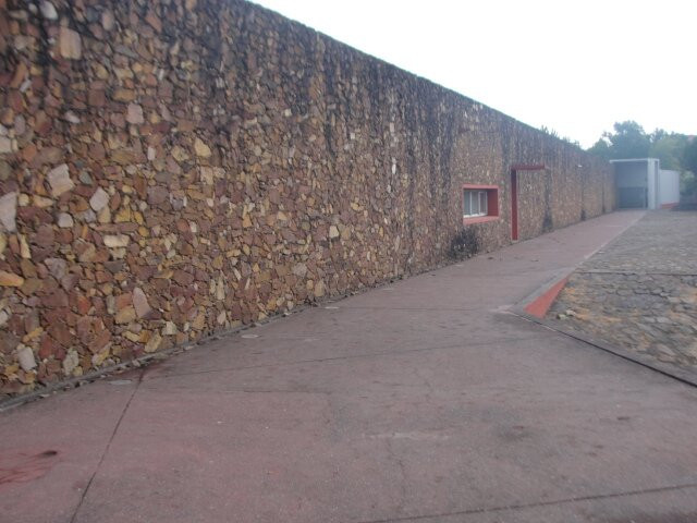 Biblioteca Municipal de Santo Tirso景点图片