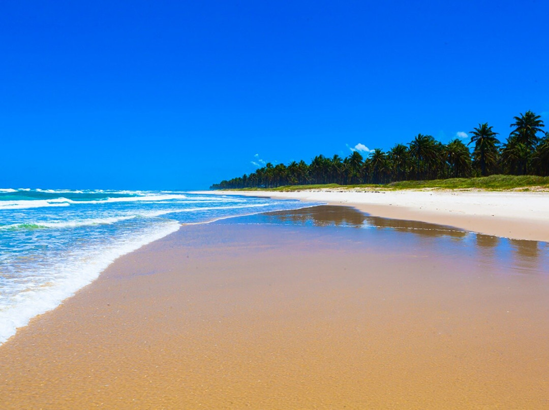 Gray Line Brazil-Maceio必去景点