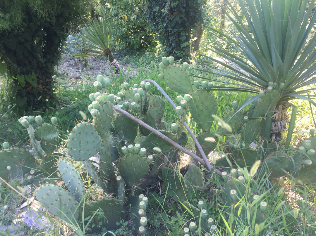 Pansionat Himik主图