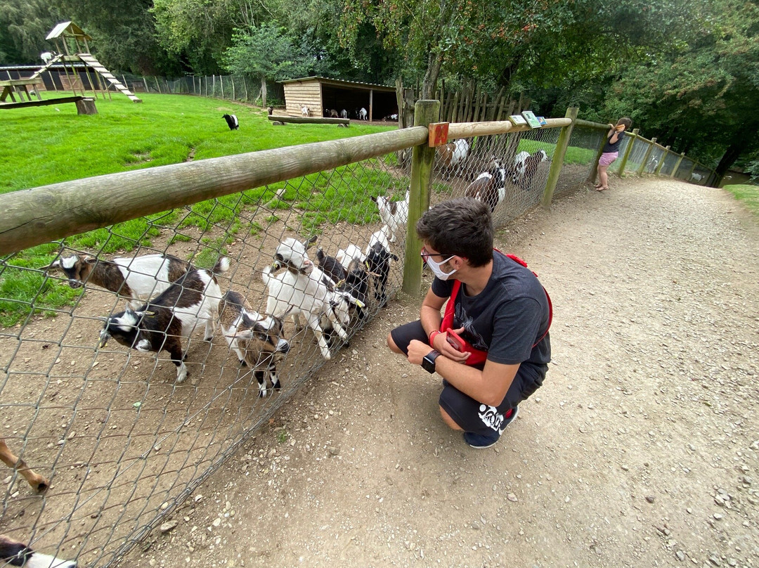 Parc Animalier Saint Martin景点图片