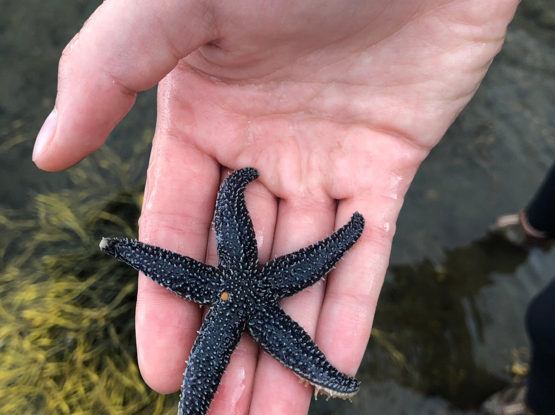 Salsman Provincial Park-Guysborough必去景点