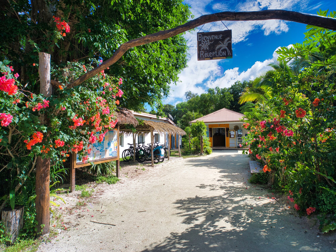 Ile Des Pins旅游攻略图片