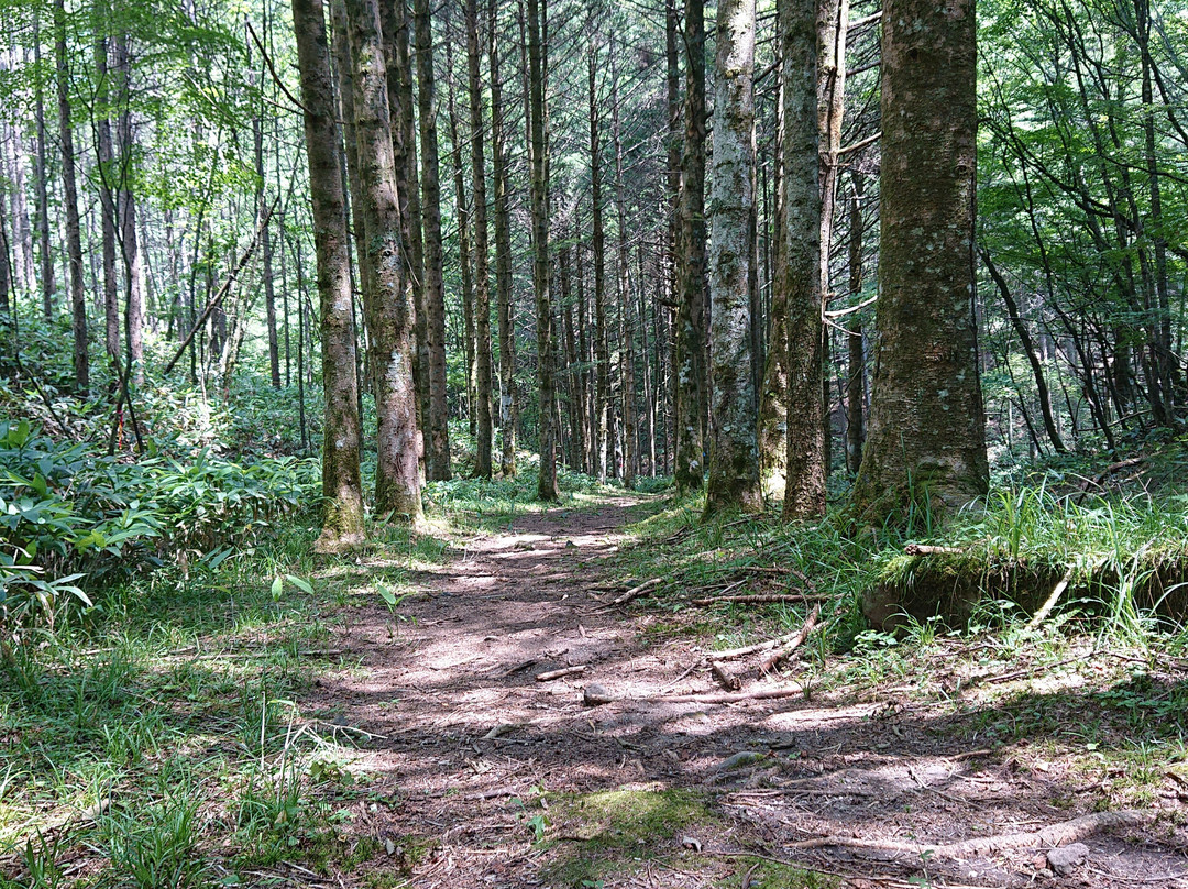Wada Pass-长和町必去景点