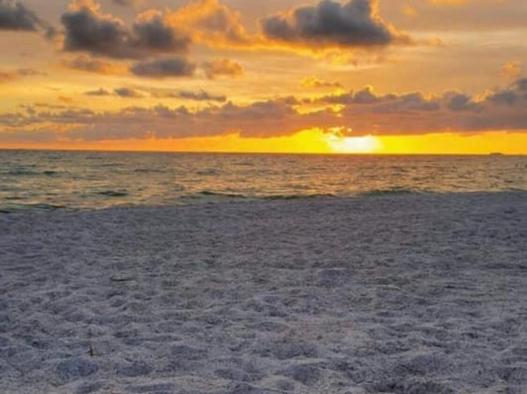 Manatee Public Beach景点图片