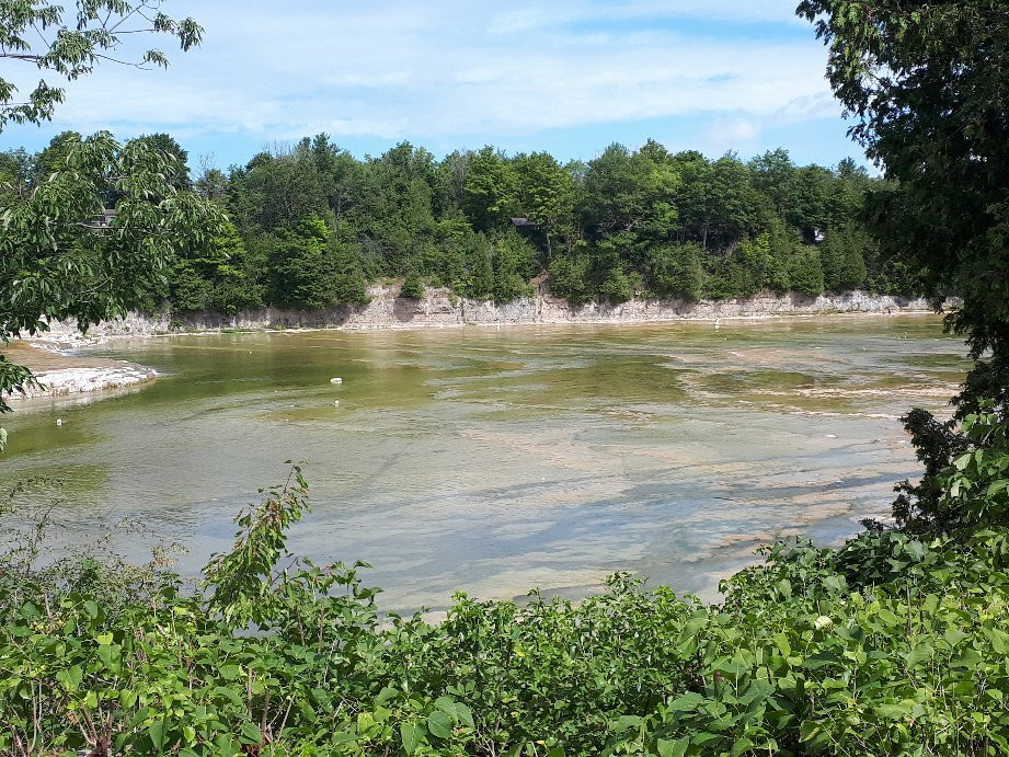 Falls Reserve Conservation Area景点图片