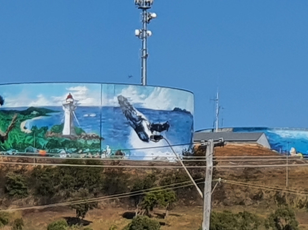 Watertank Murals-博恩必去景点