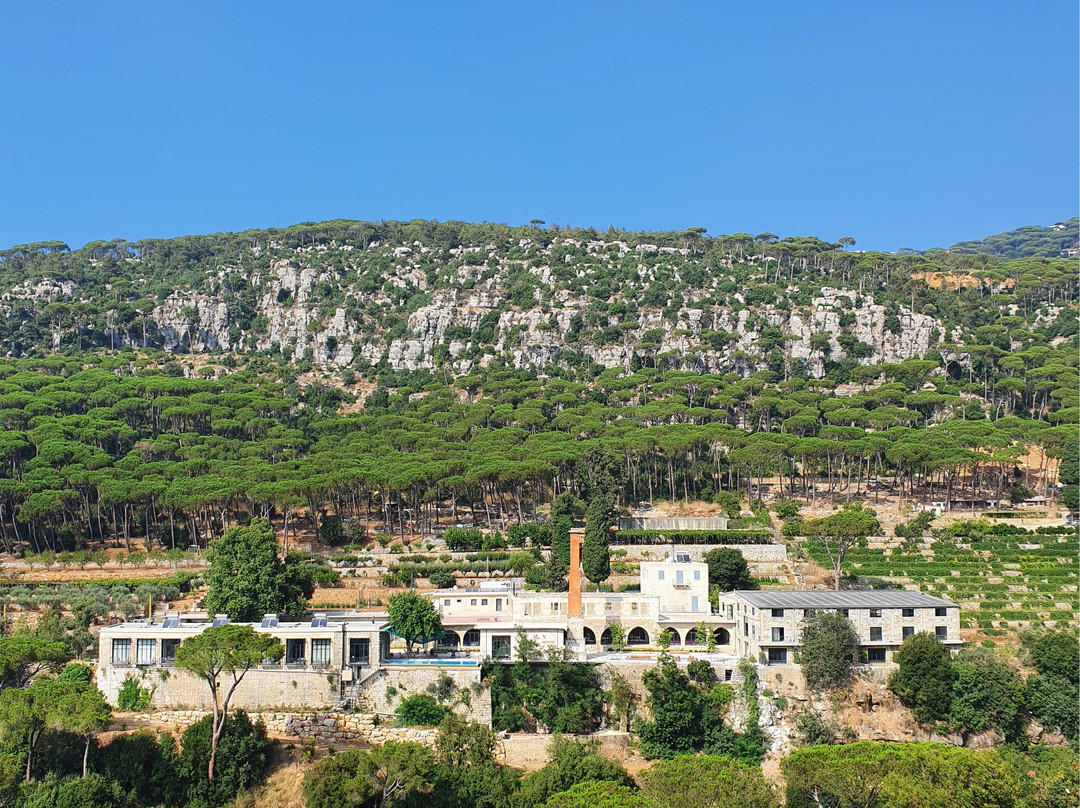 The Silk Valley主图