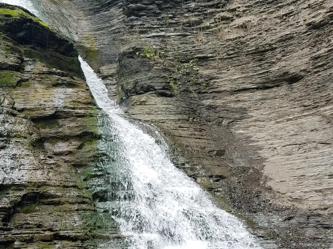 Another World Bed and Breakfast主图