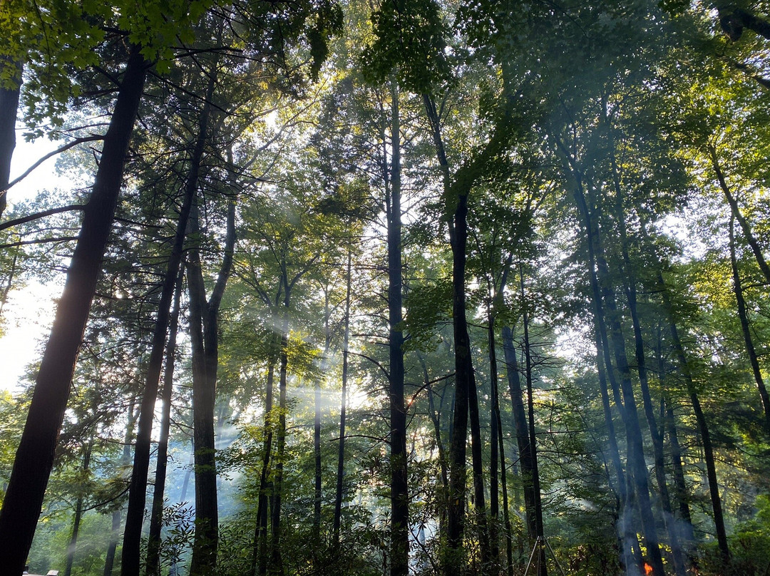 Rock Creek Park景点图片