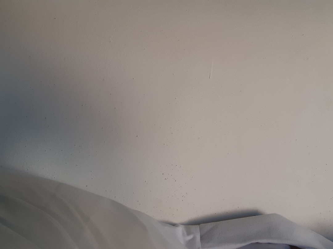 Hotel Silla B&B主图