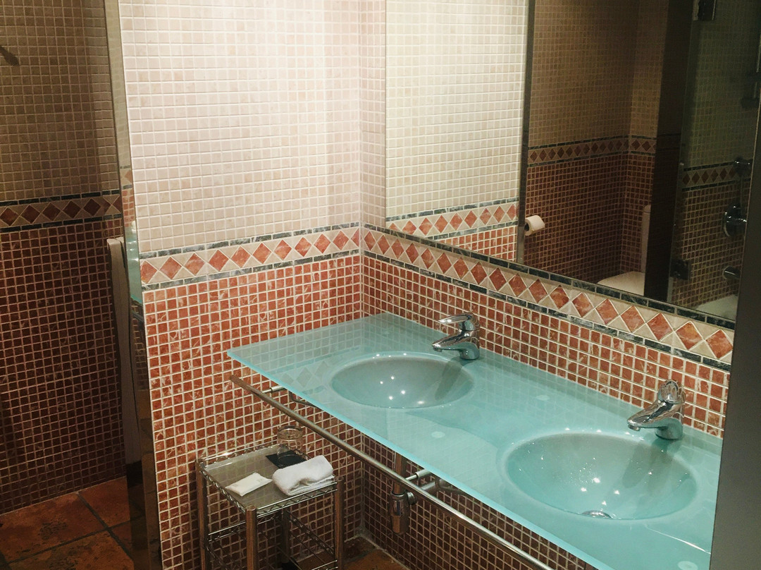 圣安娜帕拉西奥万豪AC酒店主图