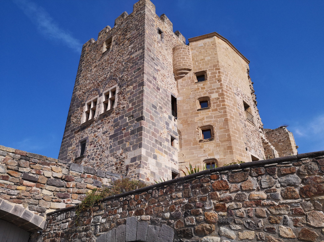 Le Chastel Montaigu主图