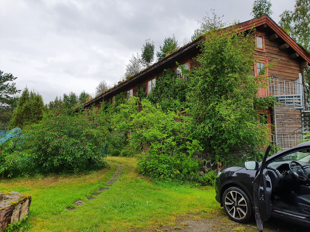 Saga Trollheimen Hotel AS主图