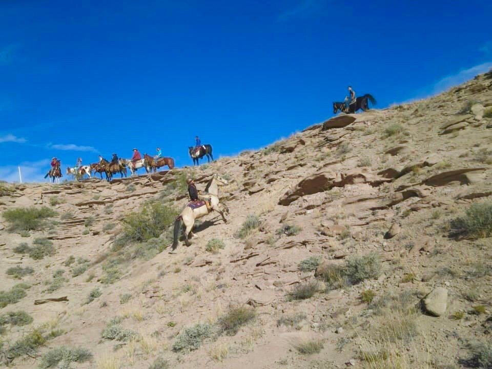 Acacia Riding Adventures-San Acacia必去景点