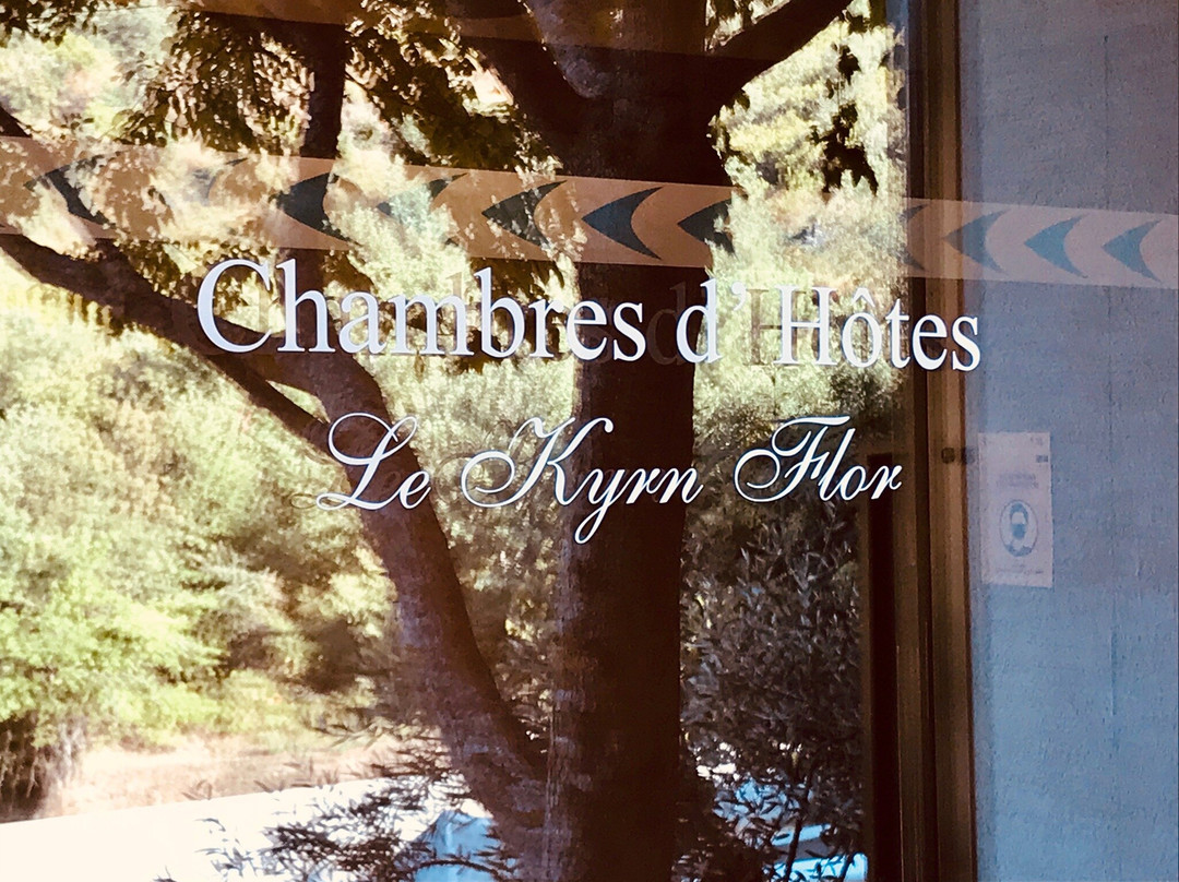 Kyrn Flor主图