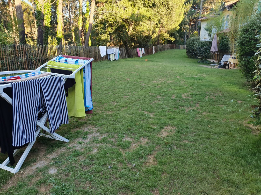 Résidence Pierre & Vacances Les Grands Pins主图