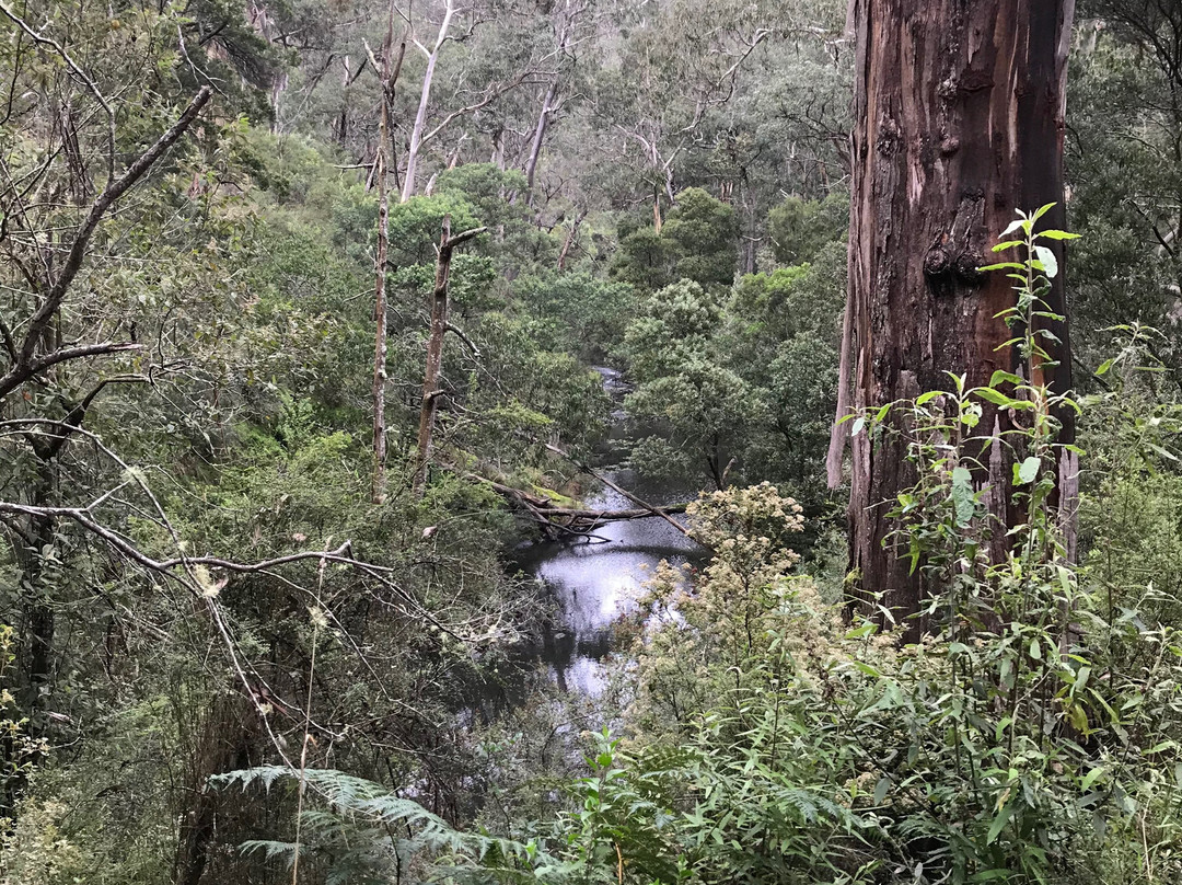 St Georges River Walk-洛恩必去景点