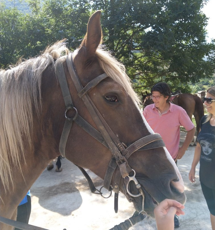 Il Ranch - Maneggio-Scanno必去景点