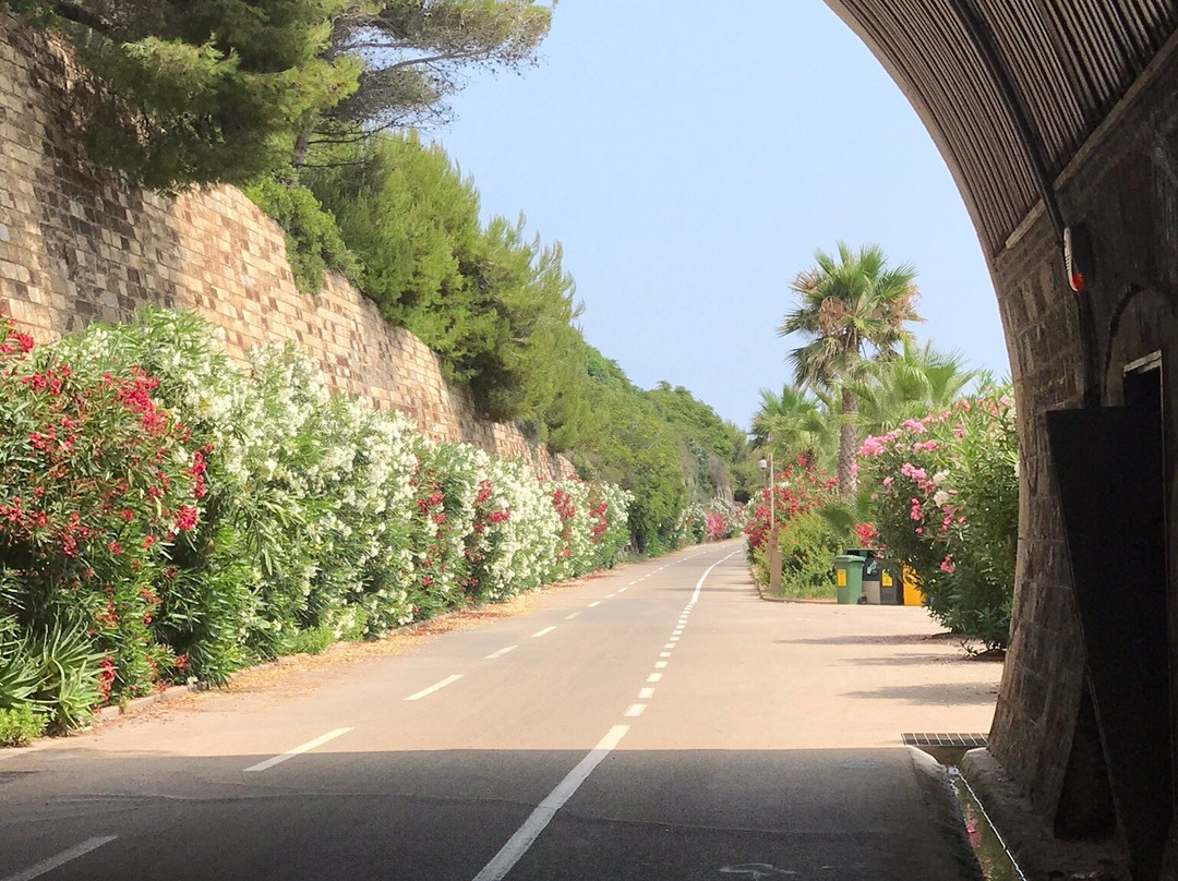 Pista Ciclabile della Riviera Ligure-San Lorenzo al Mare必去景点