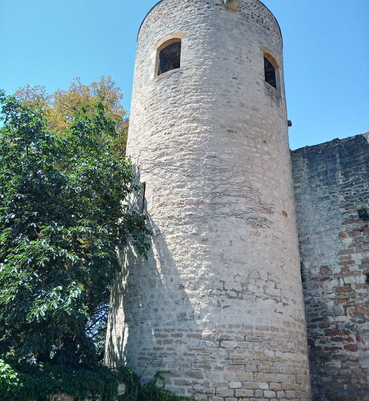 Château-Fort de Trevoux景点图片