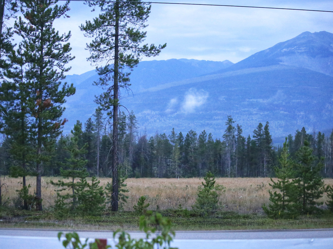 Rose Cottage Bed & Breakfast主图