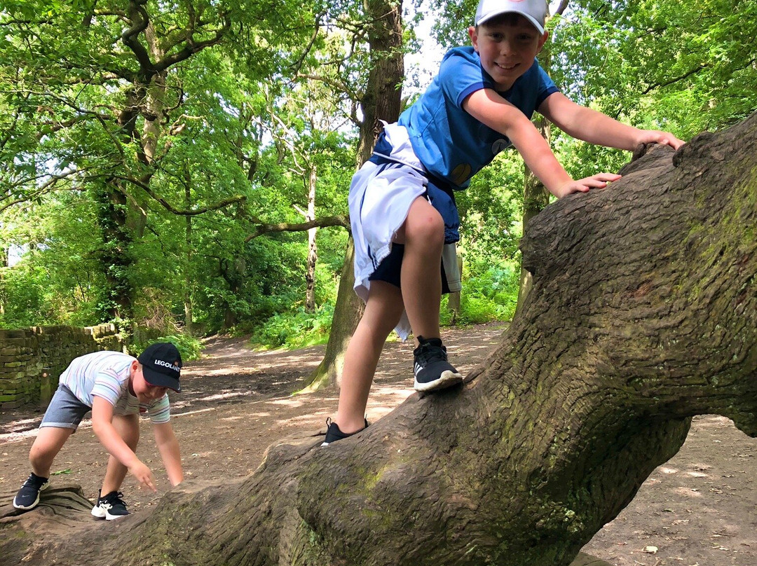 Alderley Edge Woodland Walk-阿尔德利埃奇必去景点